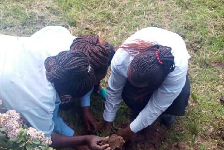 TREE PLANTING EXERCISE AT SWA-CHS