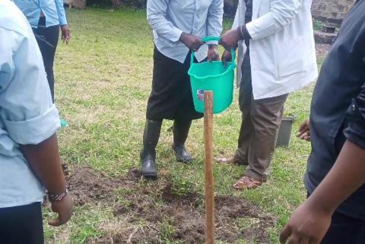 TREE PLANTING EXERCISE AT SWA-CHS