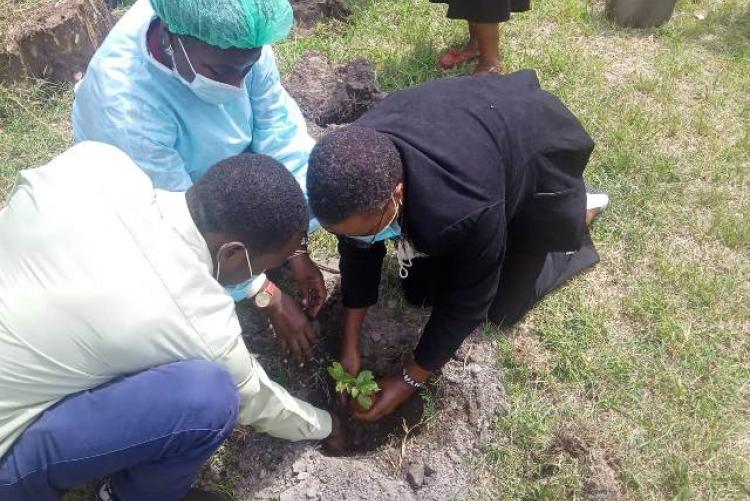 TREE PLANTING EXERCISE AT SWA-CHS