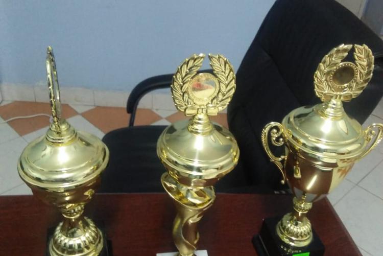 Trophies won by Halls Team during sports day