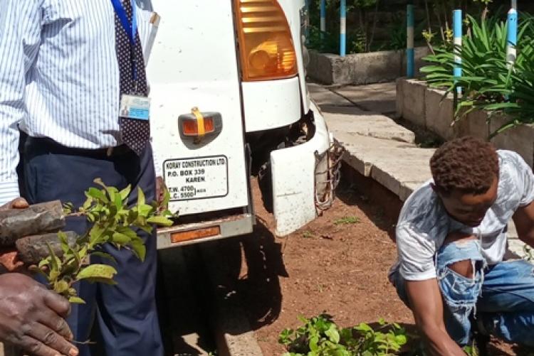 Tree planting exercise at Halls Dept - 18/5/2021