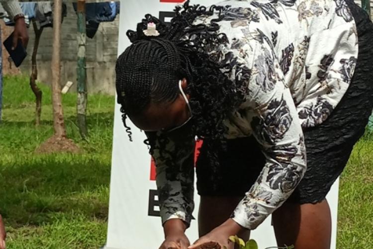 Tree planting exercise Halls Dept- 18/5/2021