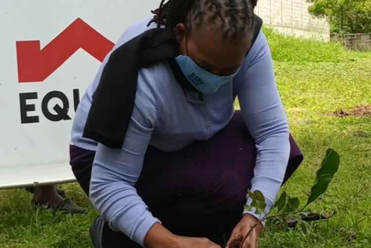 Tree planting exercise Halls Dept- 18/5/2021