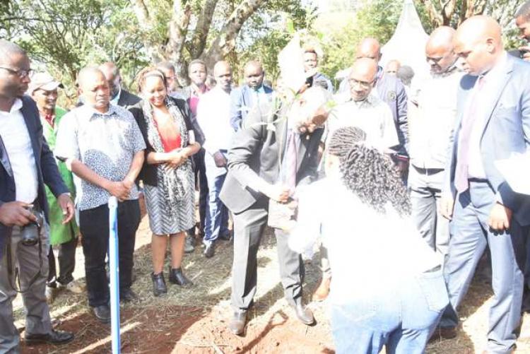 Tree planting exercise at upper kabete 