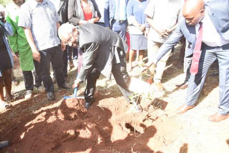Tree planting exercise at upper kabete 